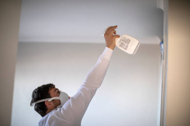 Best Mold Damage Repair  in Ten Mile Creek, MD