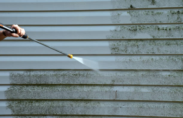 Mold Removal Process in Ten Mile Creek, MD