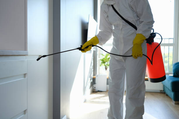 Best Residential Mold Removal  in Ten Mile Creek, MD