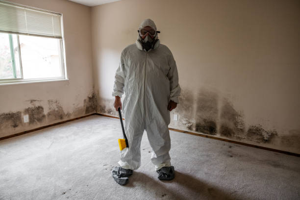 Best Commercial Mold Removal  in Ten Mile Creek, MD